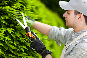 kertgondoz�s Balatonber�ny