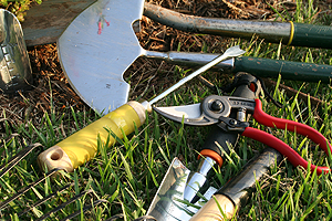 kertgondoz�s Balatonber�ny